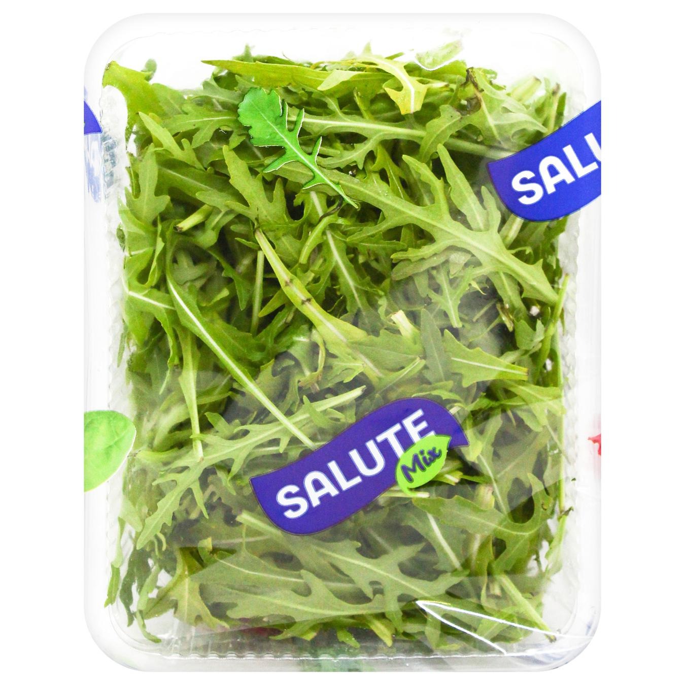 Рукола 75г Salute