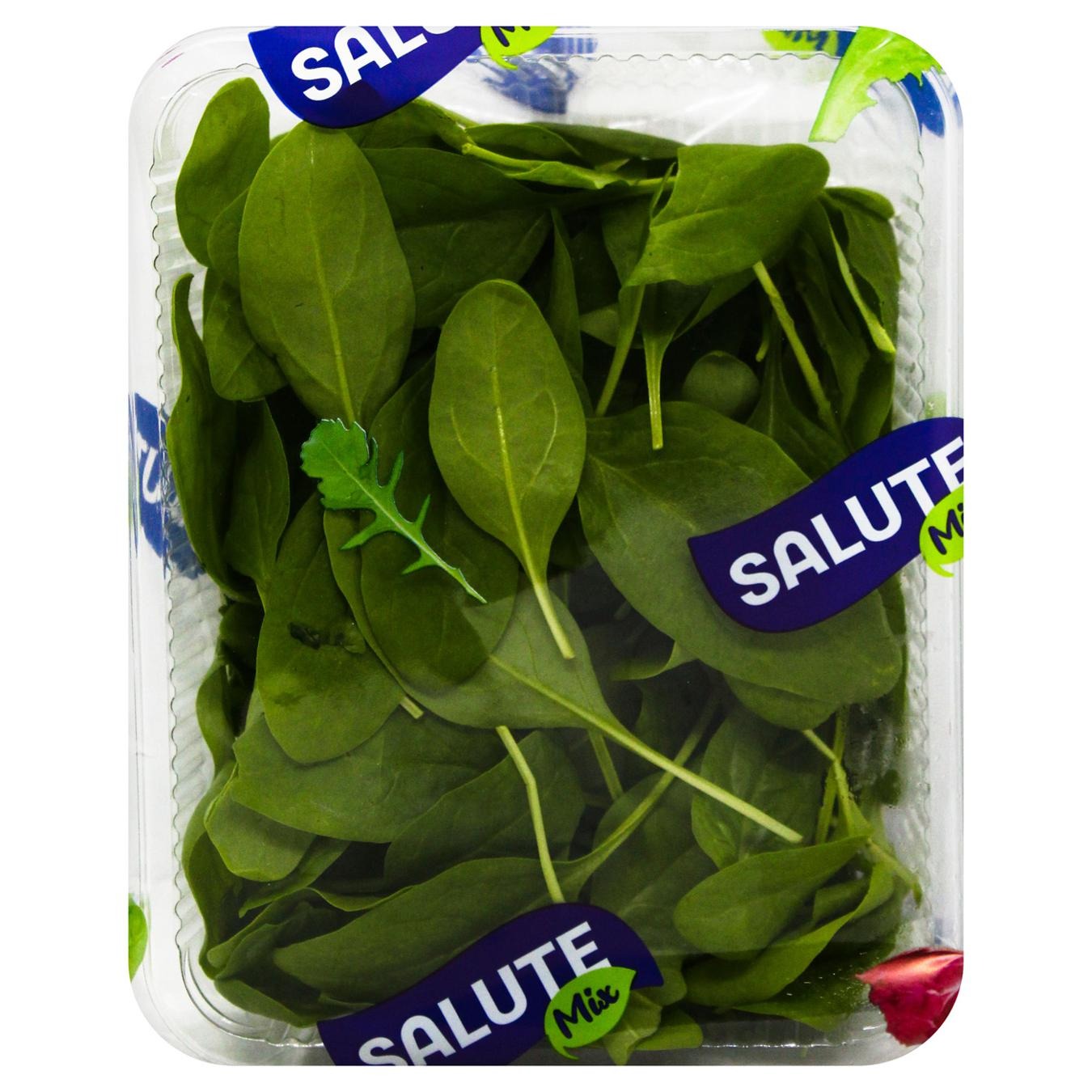 Шпинат 75г Salute